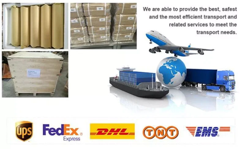 product-797-486 product-797-486