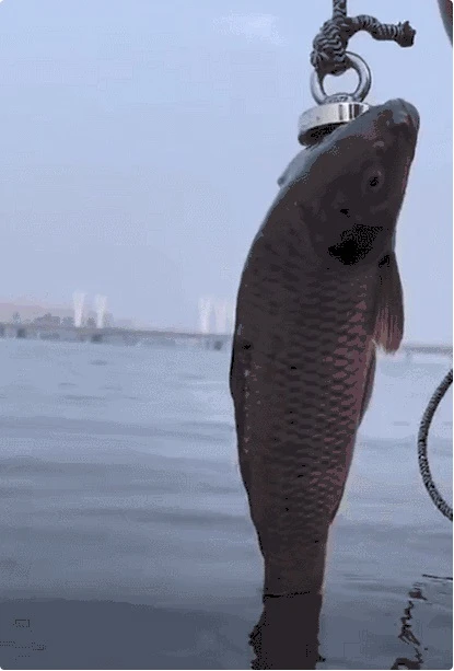fishing magnet fishing magnet