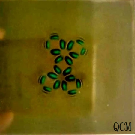 neodymium magnet