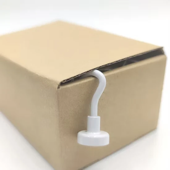 Magnetic hook packaging