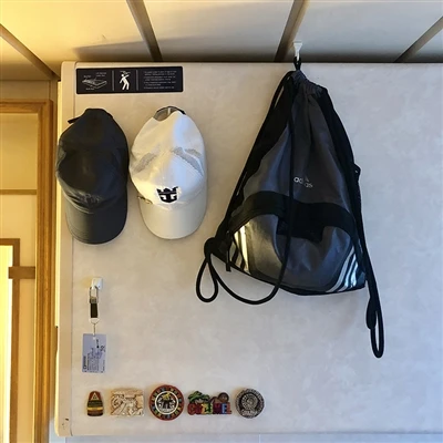 Do magnetic hooks work in hotels?